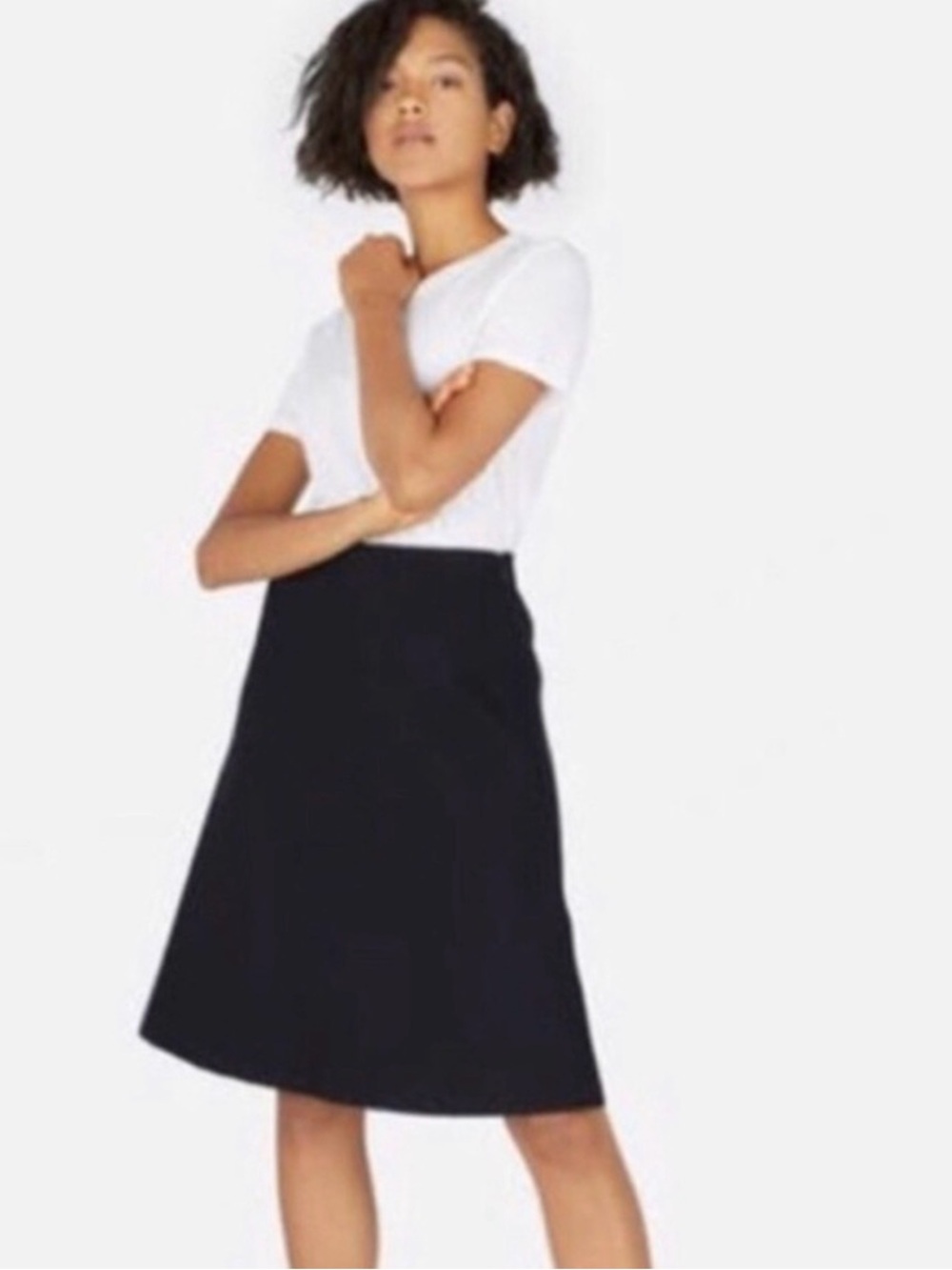 Everlane Premium Wool Flared Skirt